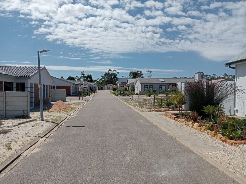 A clear street view of a residential neighborhood featuring paved roads, street lighting, and established housing with landscaped front gardens.
