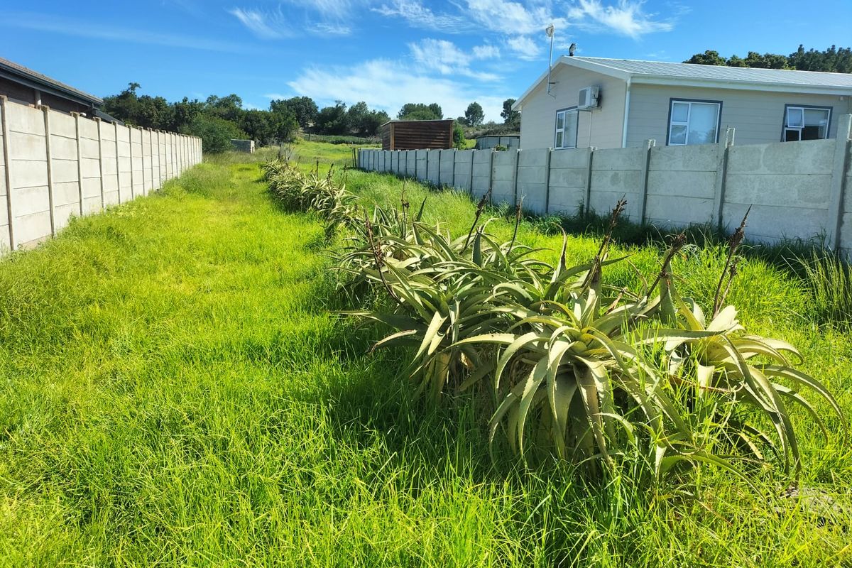 A residential plot featuring a long grassy area lined with aloe plants and enclosed by precast concrete boundary walls.
