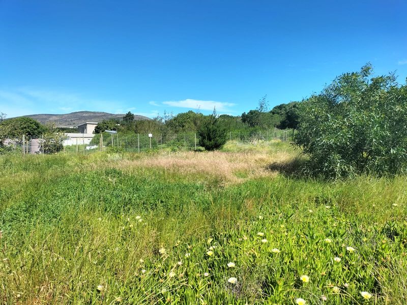 A view of a vacant residential plot featuring natural vegetation and perimeter wire mesh fencing.
