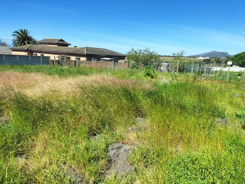 A vacant residential plot featuring overgrown grass, enclosed by wire mesh fencing and a concrete boundary wall, with surrounding neighborhood views.