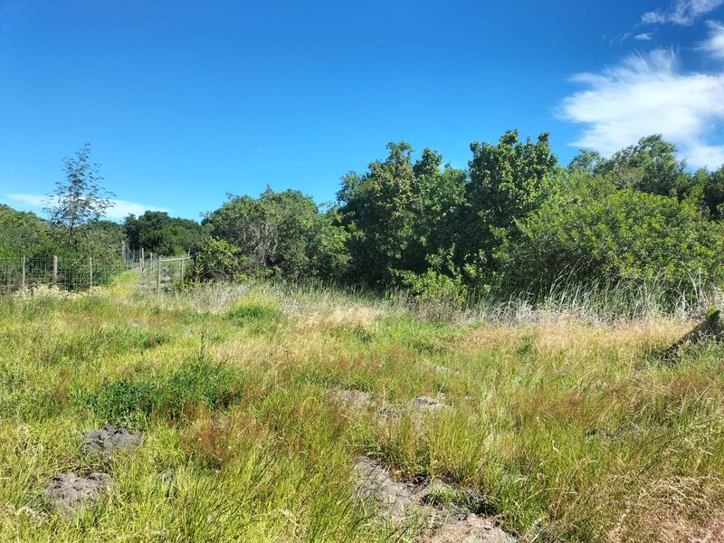 A view of a vacant residential plot featuring natural vegetation, mature trees, and perimeter wire mesh fencing under a clear blue sky.