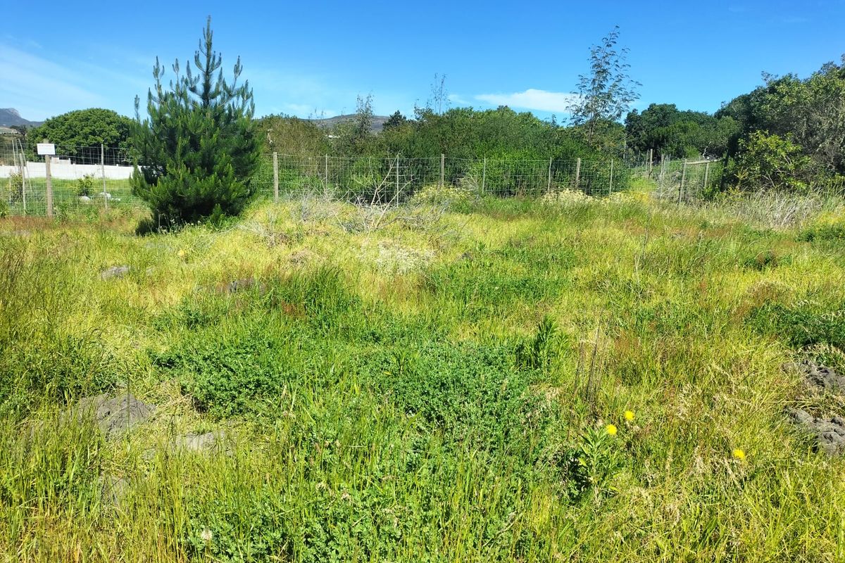 A view of a vacant residential plot featuring natural vegetation, established trees, and perimeter wire mesh fencing.