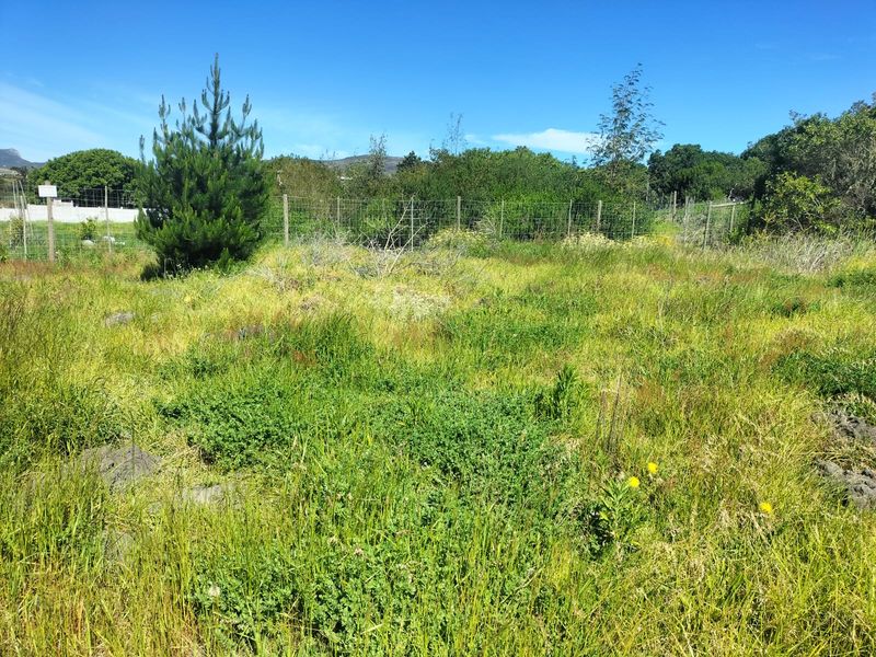 A view of a vacant residential plot featuring natural vegetation, established trees, and perimeter wire mesh fencing.