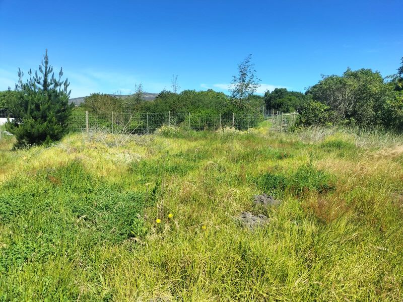 A view of a vacant residential plot featuring overgrown grass, natural vegetation, and perimeter wire mesh fencing.