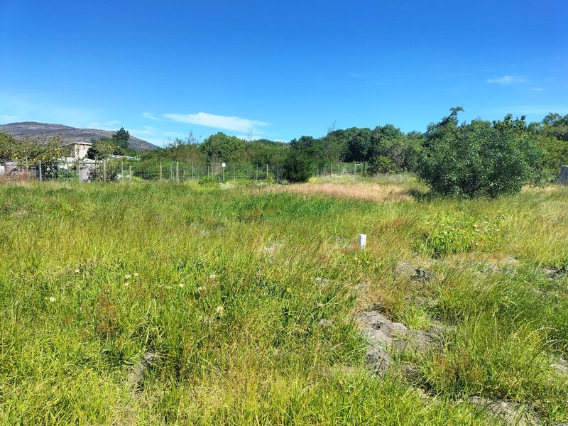 A view of a vacant residential plot featuring natural grassland, established trees, and perimeter wire mesh fencing.