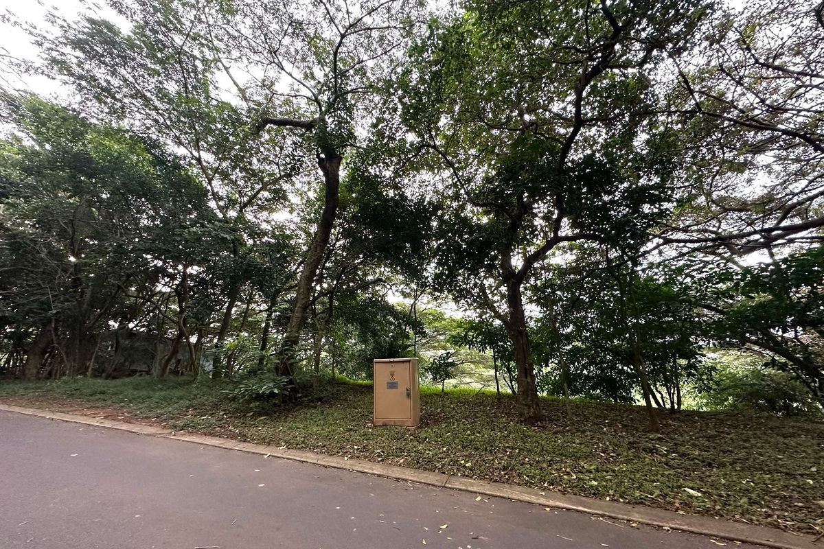 LUXURY LIVING AWAITS – SIMBITHI GOLF ESTATE - Photo 2