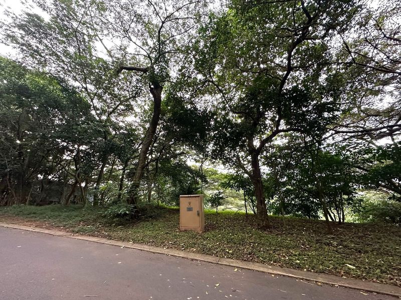 LUXURY LIVING AWAITS – SIMBITHI GOLF ESTATE - Photo 2