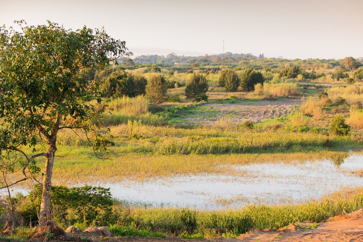 Vacant Land For Sale In Lalela Estate - Photo 5