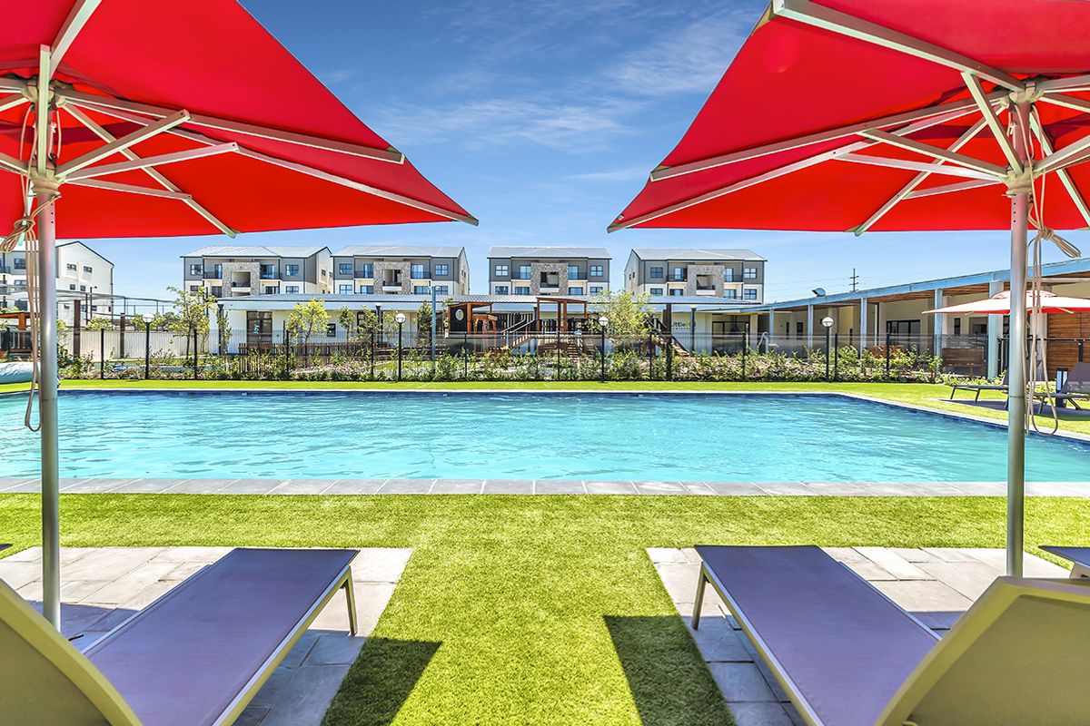 1 bedroom apartment for rent in Fynbos - Photo 5