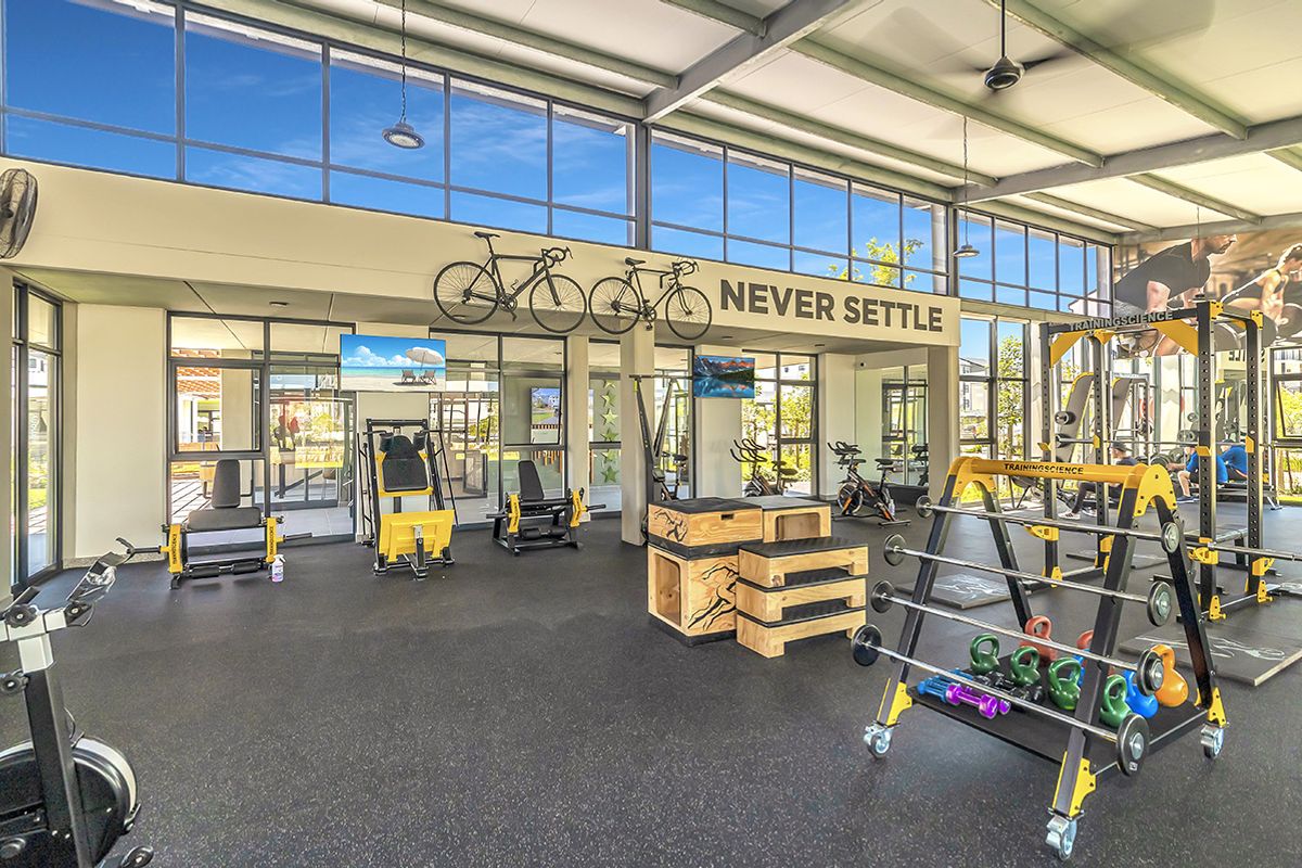 1 bedroom apartment for rent in Fynbos - Photo 4