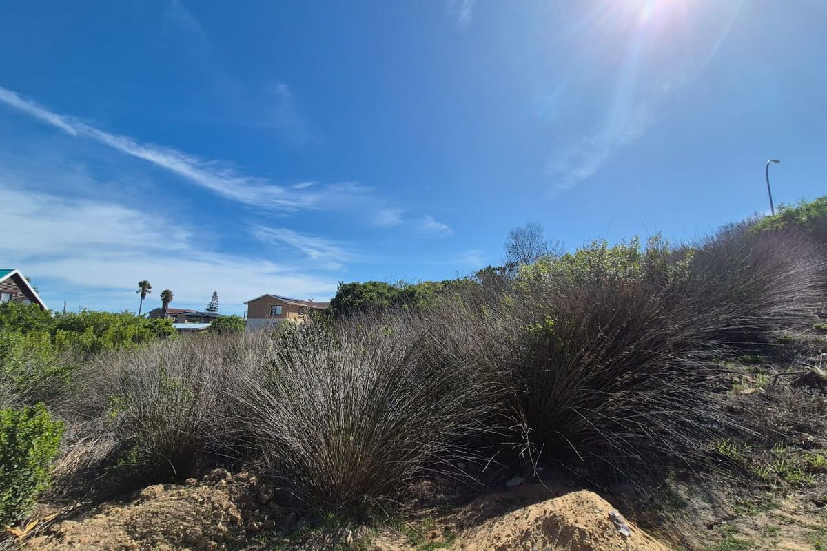 Vacant Land Residential For Sale In Mossel Bay - Photo 5