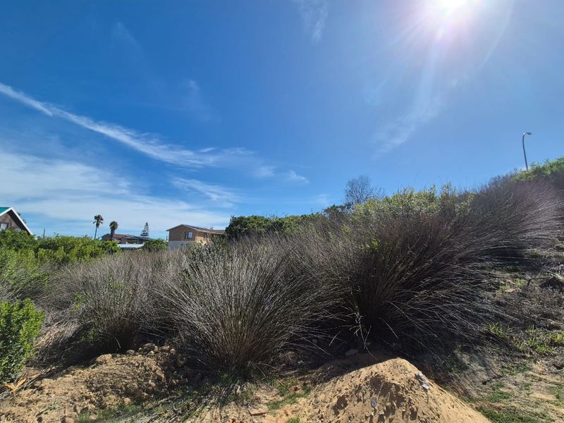 Vacant Land Residential For Sale In Mossel Bay - Photo 5