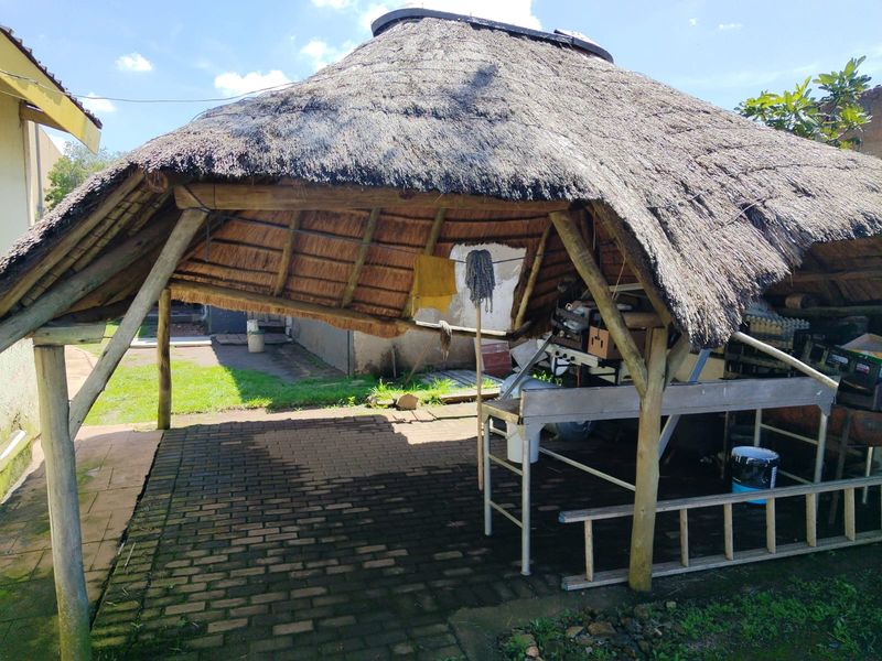 Guest House/Bed & Breakfast with Liquor License and Small Restaurant/Takeaway in Kempton Park West - Photo 5