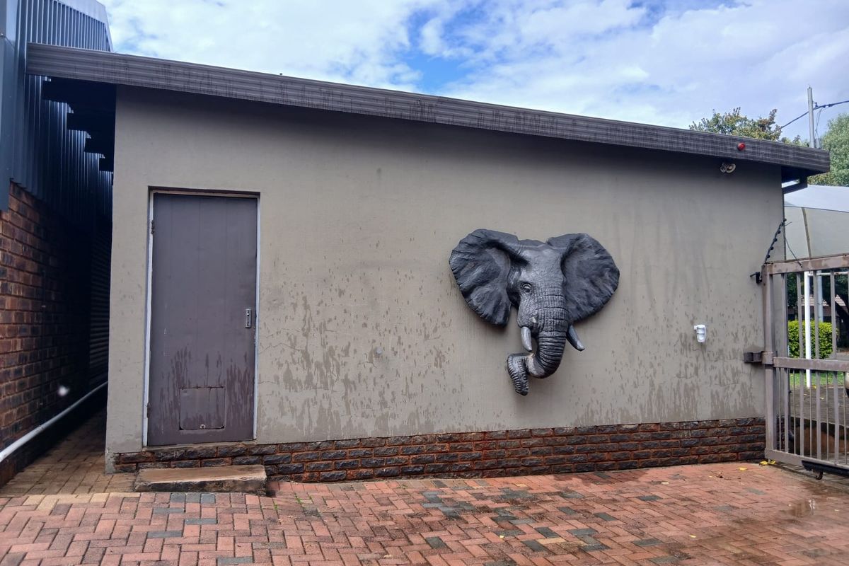 Exterior view of a side building facade featuring a decorative elephant wall sculpture, paved driveway area, and a single access door.