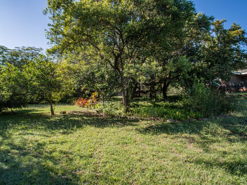 Exceptional Lifestyle Opportunity in the Heart of Magaliesburg valley - Photo 9