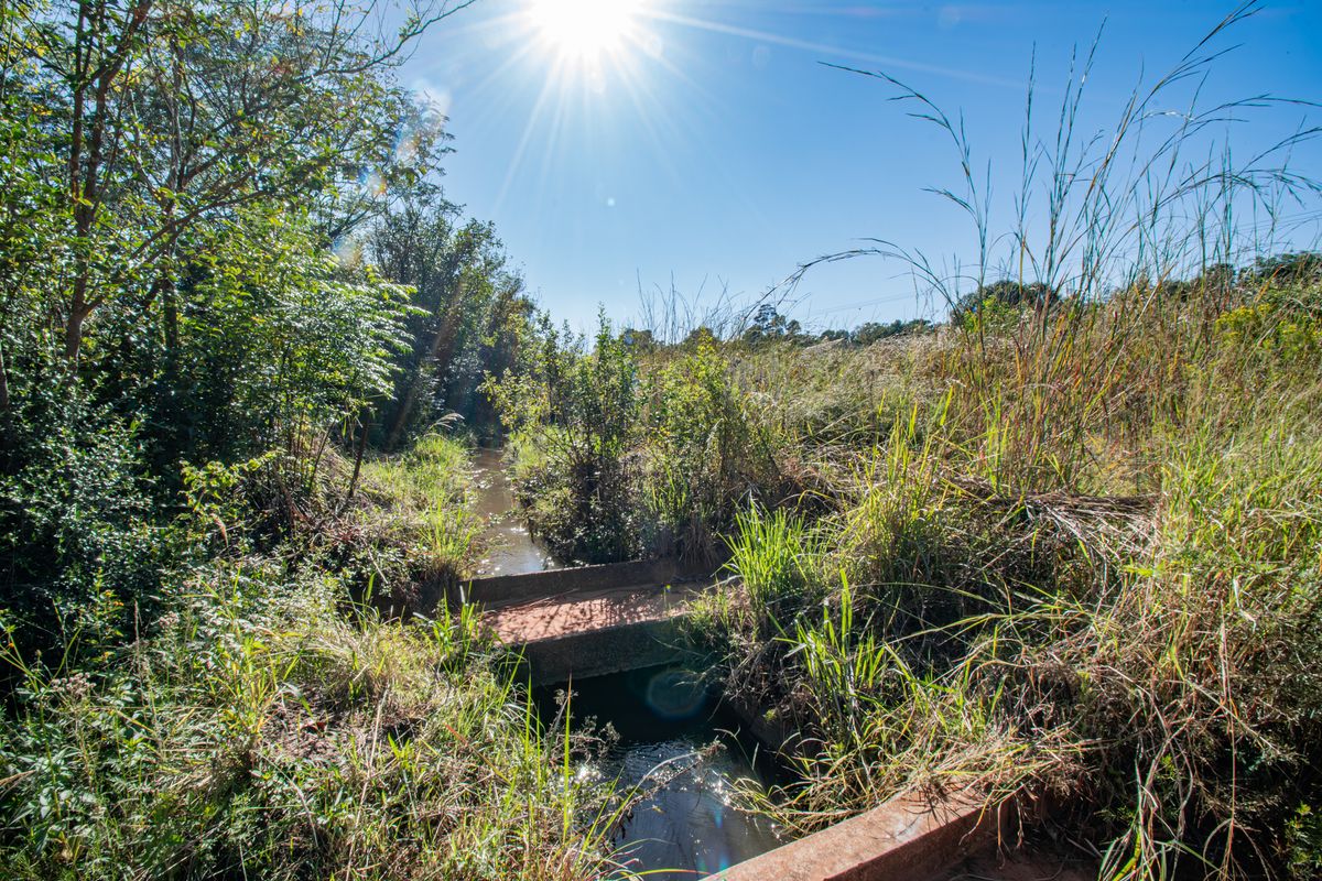 Exceptional Lifestyle Opportunity in the Heart of Magaliesburg valley - Photo 2