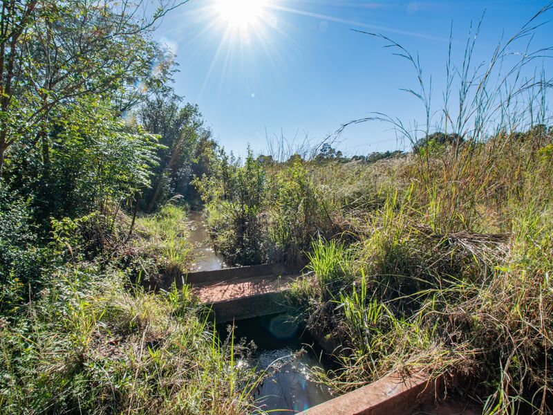 Exceptional Lifestyle Opportunity in the Heart of Magaliesburg valley - Photo 2