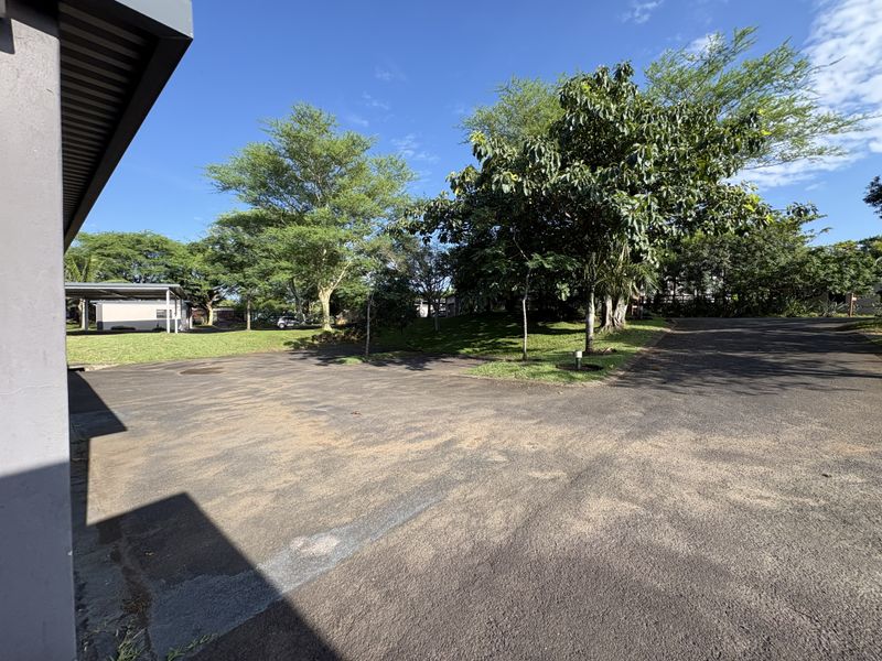 BEAUTIFUL CORNER GROUND FLOOR UNIT - Photo 4