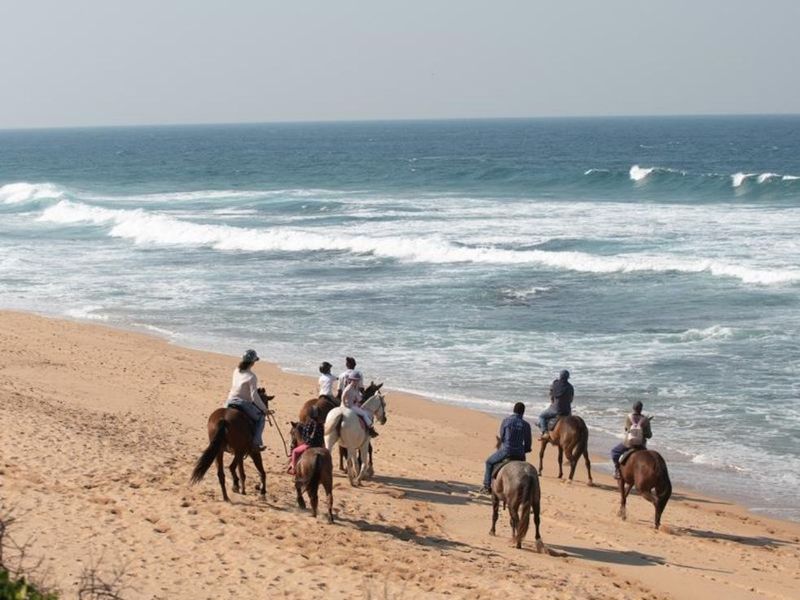 SOLE MANDATE | Prime Vacant Land in a Secure Coastal Estate - Photo 8