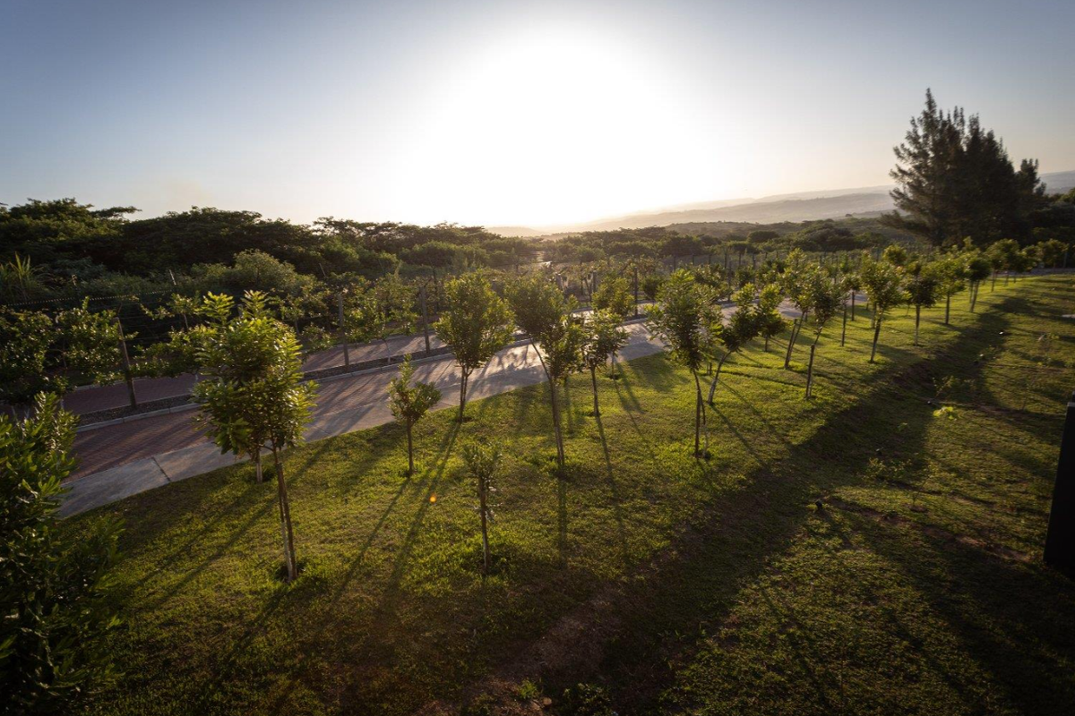 Modern Duplex in Elaleni for SALE - Photo 5