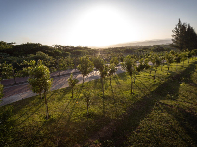 Modern Duplex in Elaleni for SALE - Photo 5