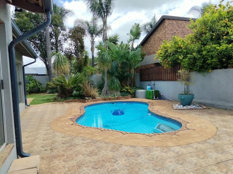A well-maintained outdoor pool area featuring a paved patio surround, established garden landscaping, and a secure pool safety net.