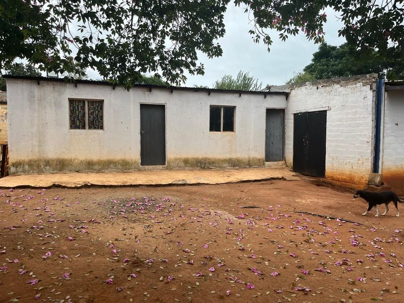 Charming Smallholding for Sale in Buffelsfontein, Mooinooi – Endless Potential! - Photo 5