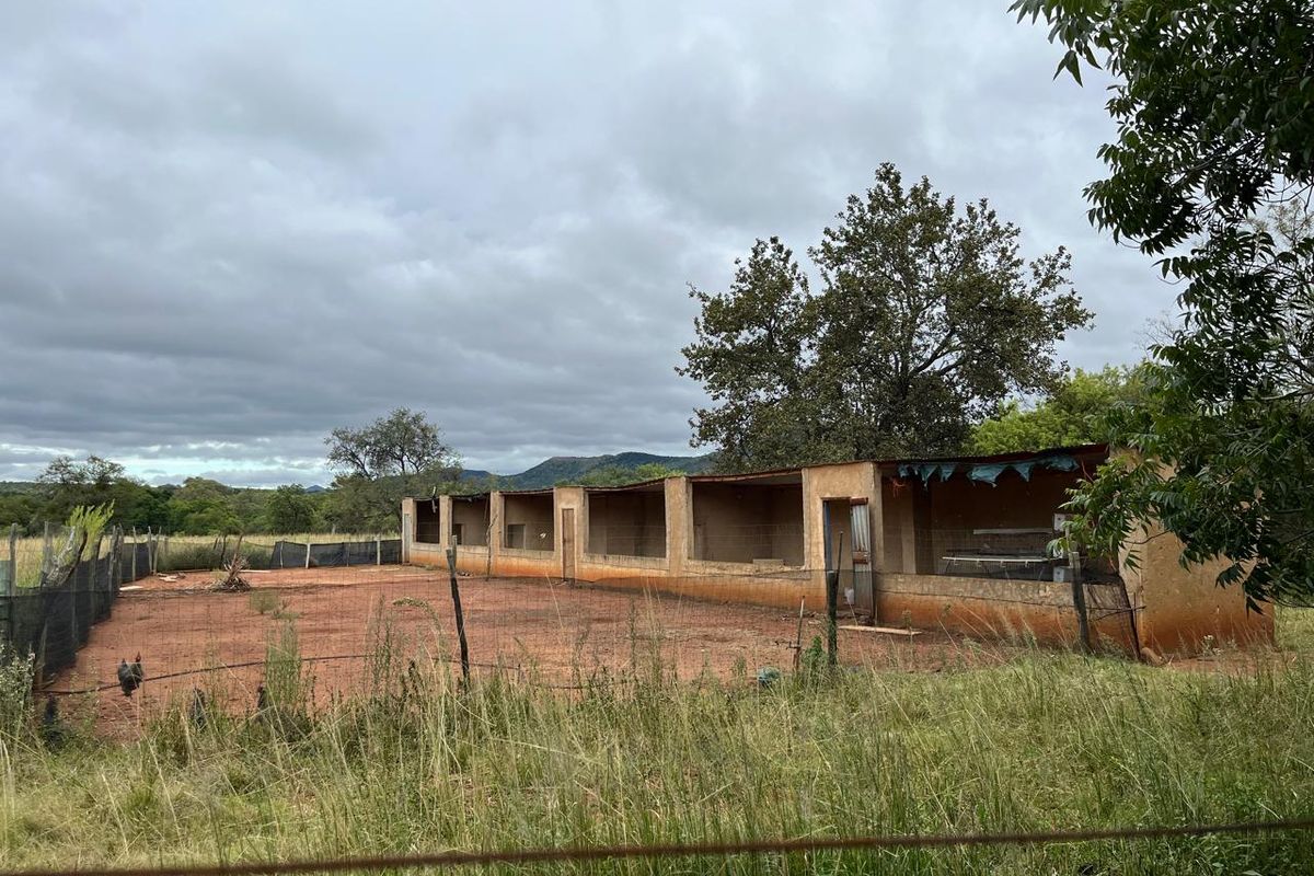 Charming Smallholding for Sale in Buffelsfontein, Mooinooi – Endless Potential! - Photo 3