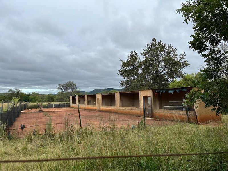 Charming Smallholding for Sale in Buffelsfontein, Mooinooi – Endless Potential! - Photo 3