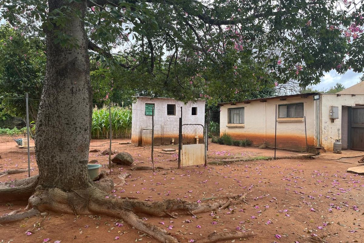 Charming Smallholding for Sale in Buffelsfontein, Mooinooi – Endless Potential! - Photo 4