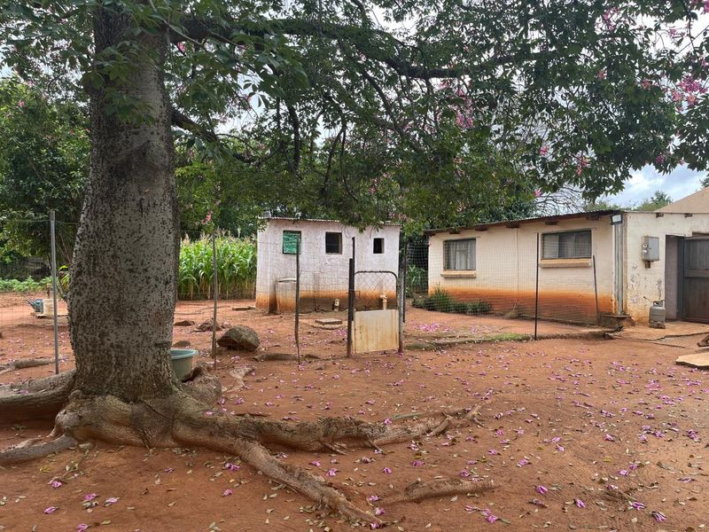 Charming Smallholding for Sale in Buffelsfontein, Mooinooi – Endless Potential! - Photo 4