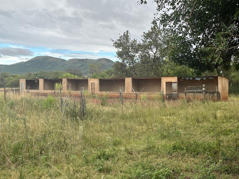 Charming Smallholding for Sale in Buffelsfontein, Mooinooi – Endless Potential! - Photo 10