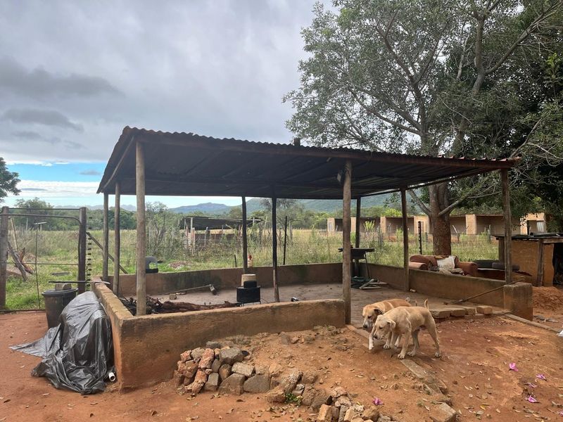 Charming Smallholding for Sale in Buffelsfontein, Mooinooi – Endless Potential! - Photo 8