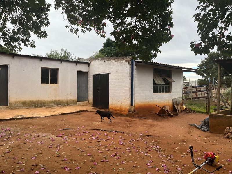 Charming Smallholding for Sale in Buffelsfontein, Mooinooi – Endless Potential! - Photo 6