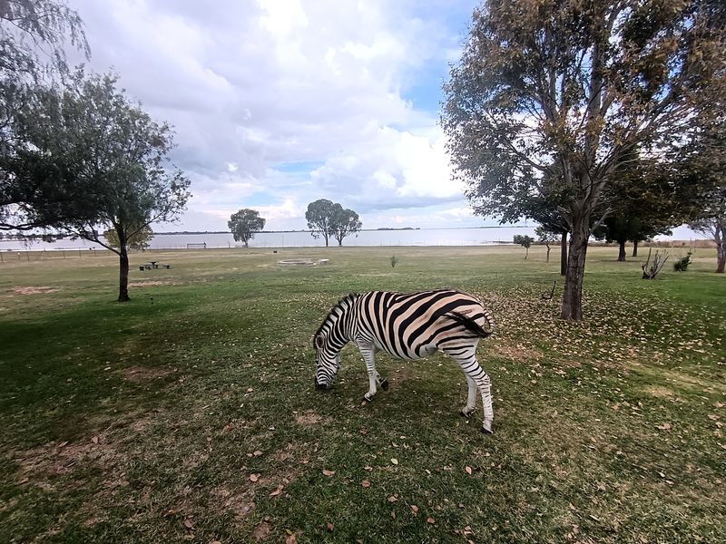 Immaculate prime 5-Bedroom smallholding next to Vaal dam with indoor pool, solar power and flatlet. - Photo 10