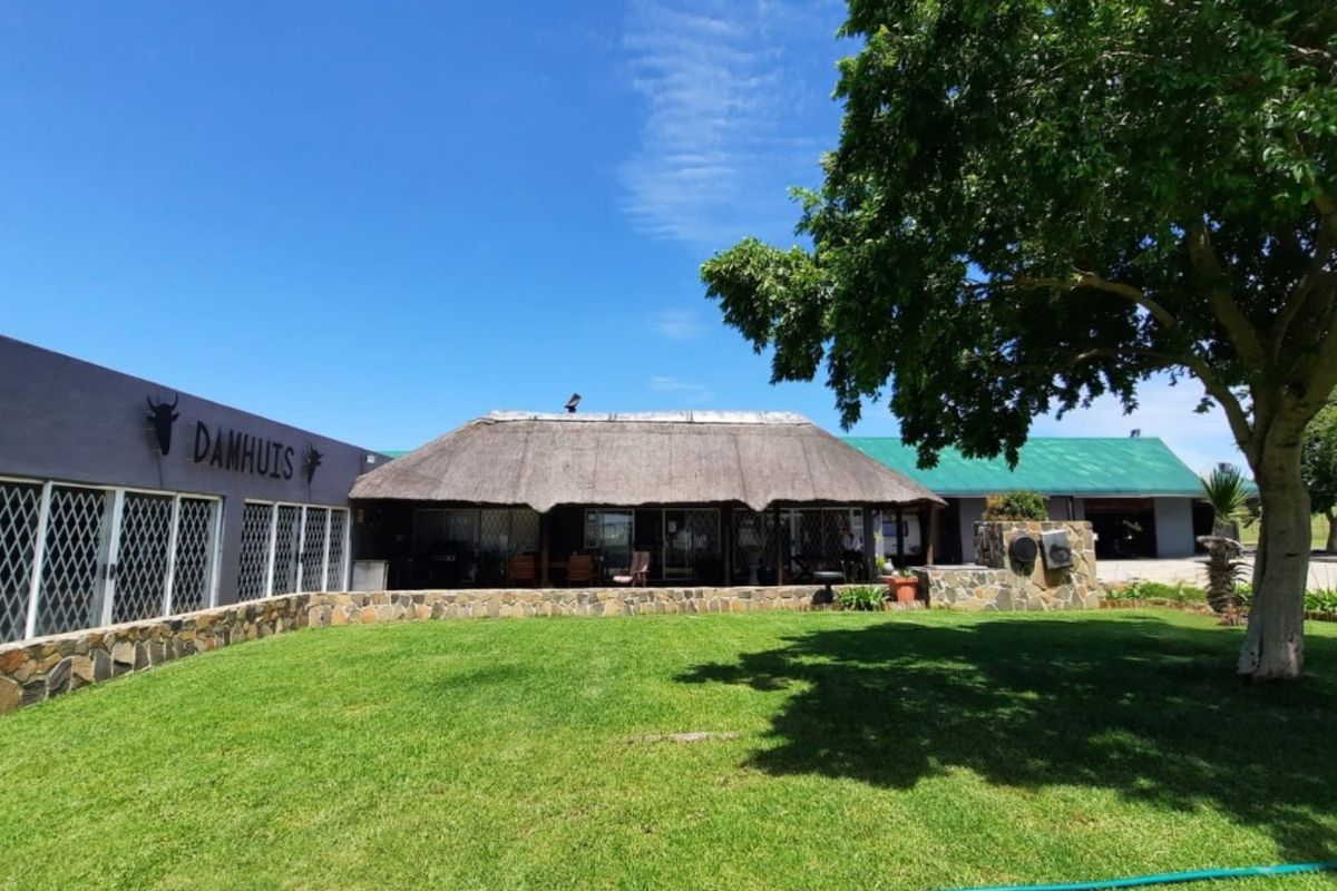 Immaculate prime 5-Bedroom smallholding next to Vaal dam with indoor pool, solar power and flatlet. - Photo 3