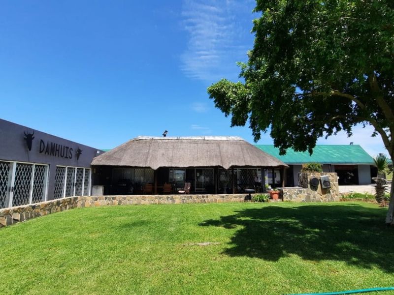 Immaculate prime 5-Bedroom smallholding next to Vaal dam with indoor pool, solar power and flatlet. - Photo 3
