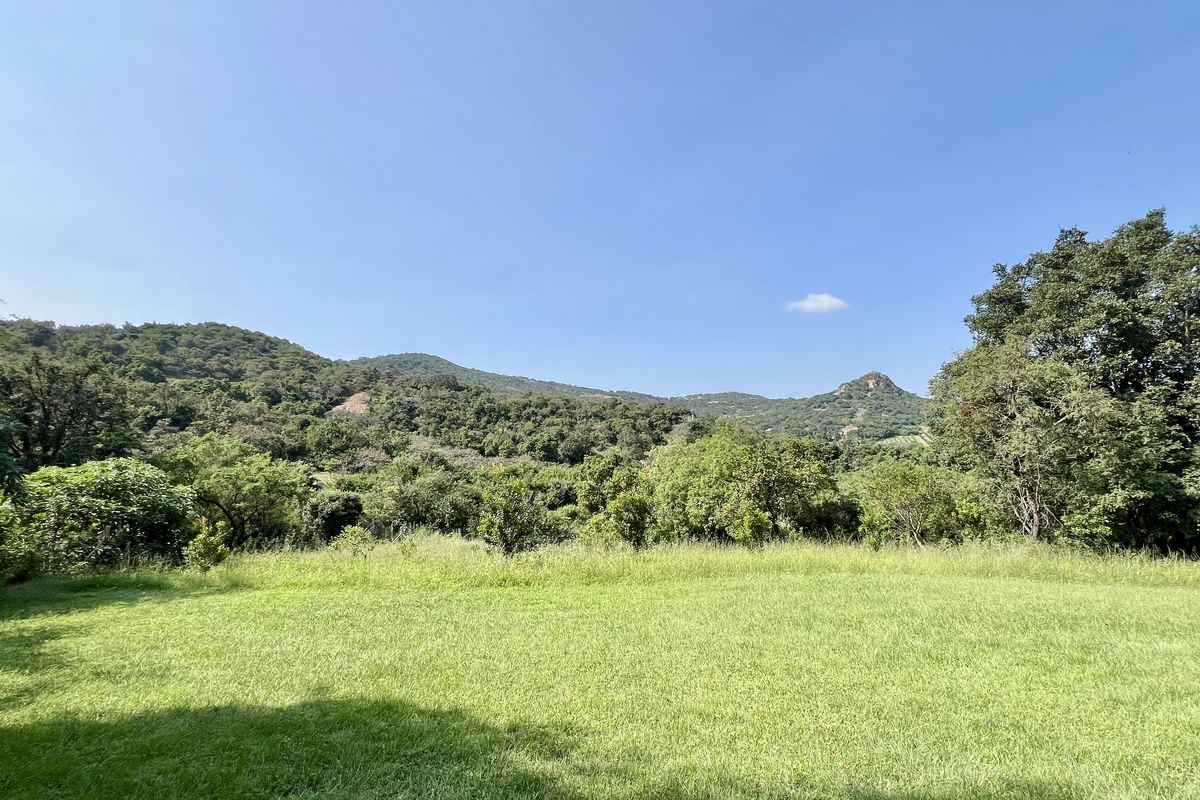 3 BEDROOM HOUSE TO LET - Photo 2