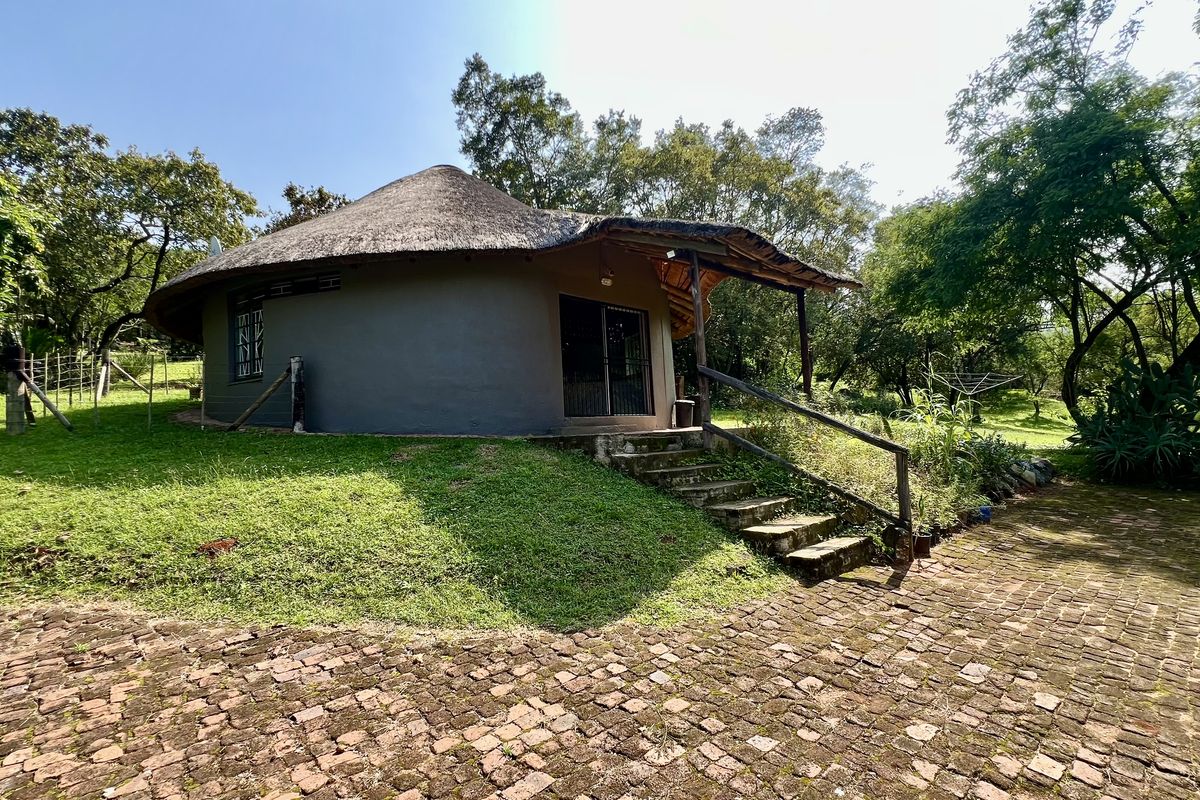 A charming round cottage featuring a traditional thatched roof, a covered patio area, and concrete steps, set within a lush, green garden environment.