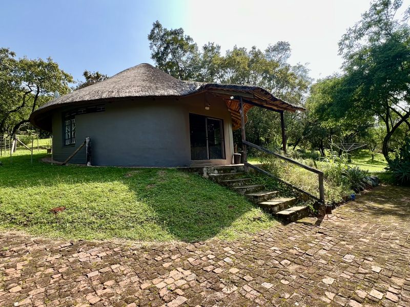 A charming round cottage featuring a traditional thatched roof, a covered patio area, and concrete steps, set within a lush, green garden environment.