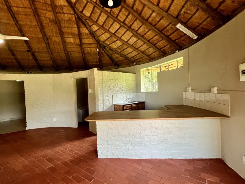 Open-plan living area featuring a unique thatched roof, exposed rafters, terracotta flooring, and a built-in brick breakfast bar with a kitchen prep area.