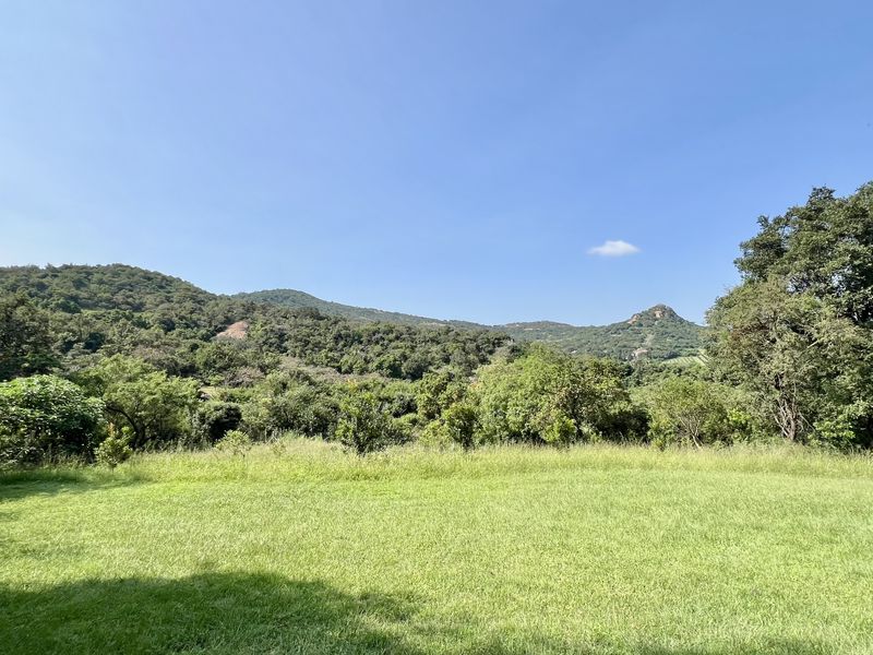 A scenic view of a lush green lawn leading to a dense forest and rolling hills under a clear blue sky.