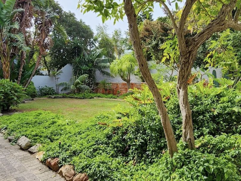 An investor dream - Photo 10