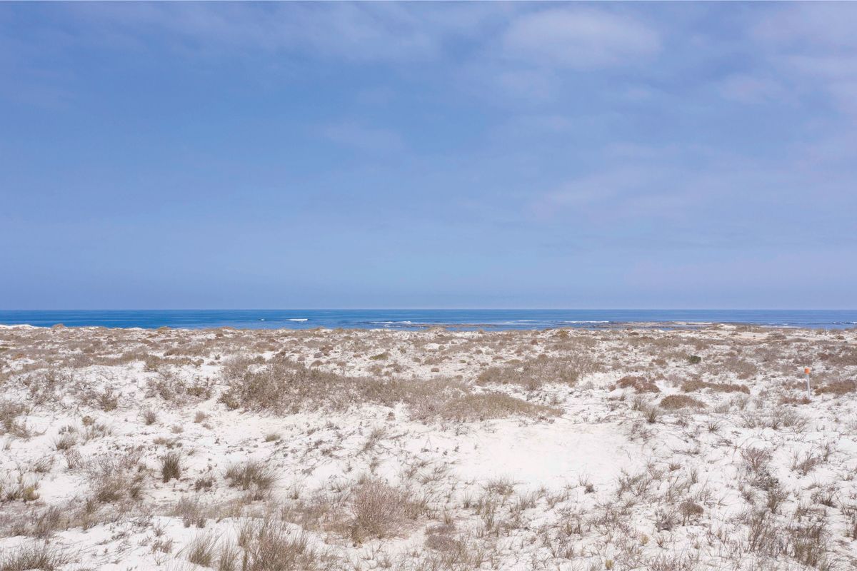 Vast Vista - Photo 5