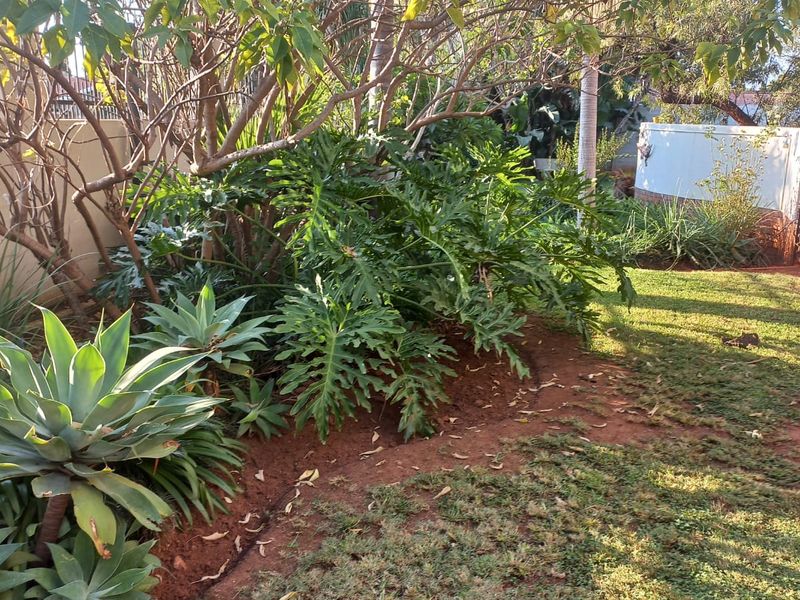 Spacious 3-Bedroom Family Home in Mooinooi - Photo 6