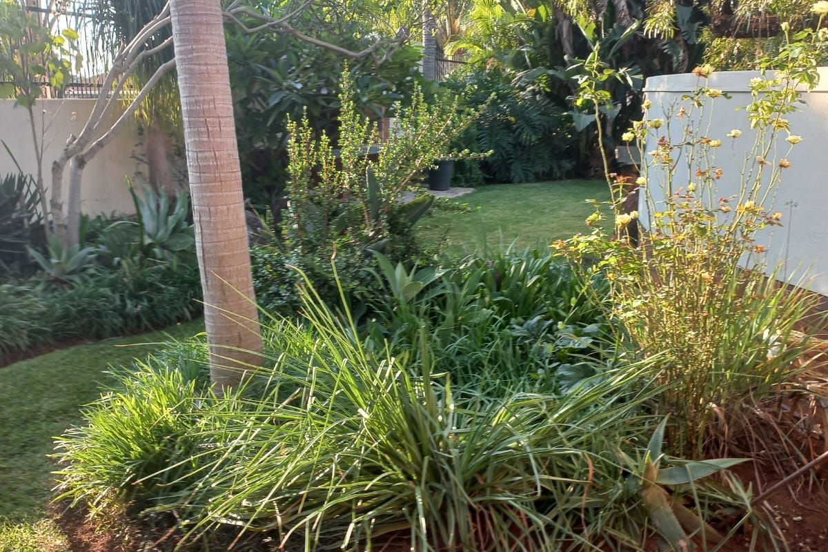 Spacious 3-Bedroom Family Home in Mooinooi - Photo 5