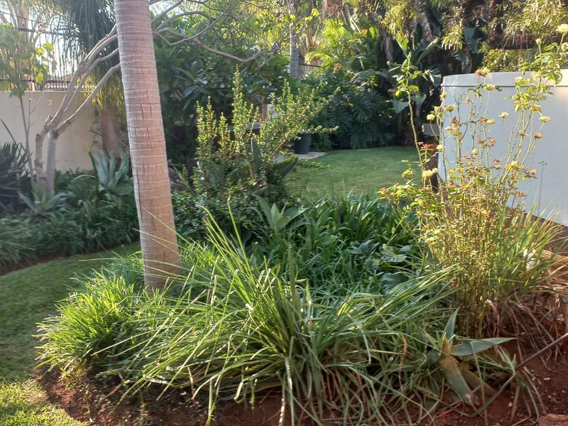 Spacious 3-Bedroom Family Home in Mooinooi - Photo 5