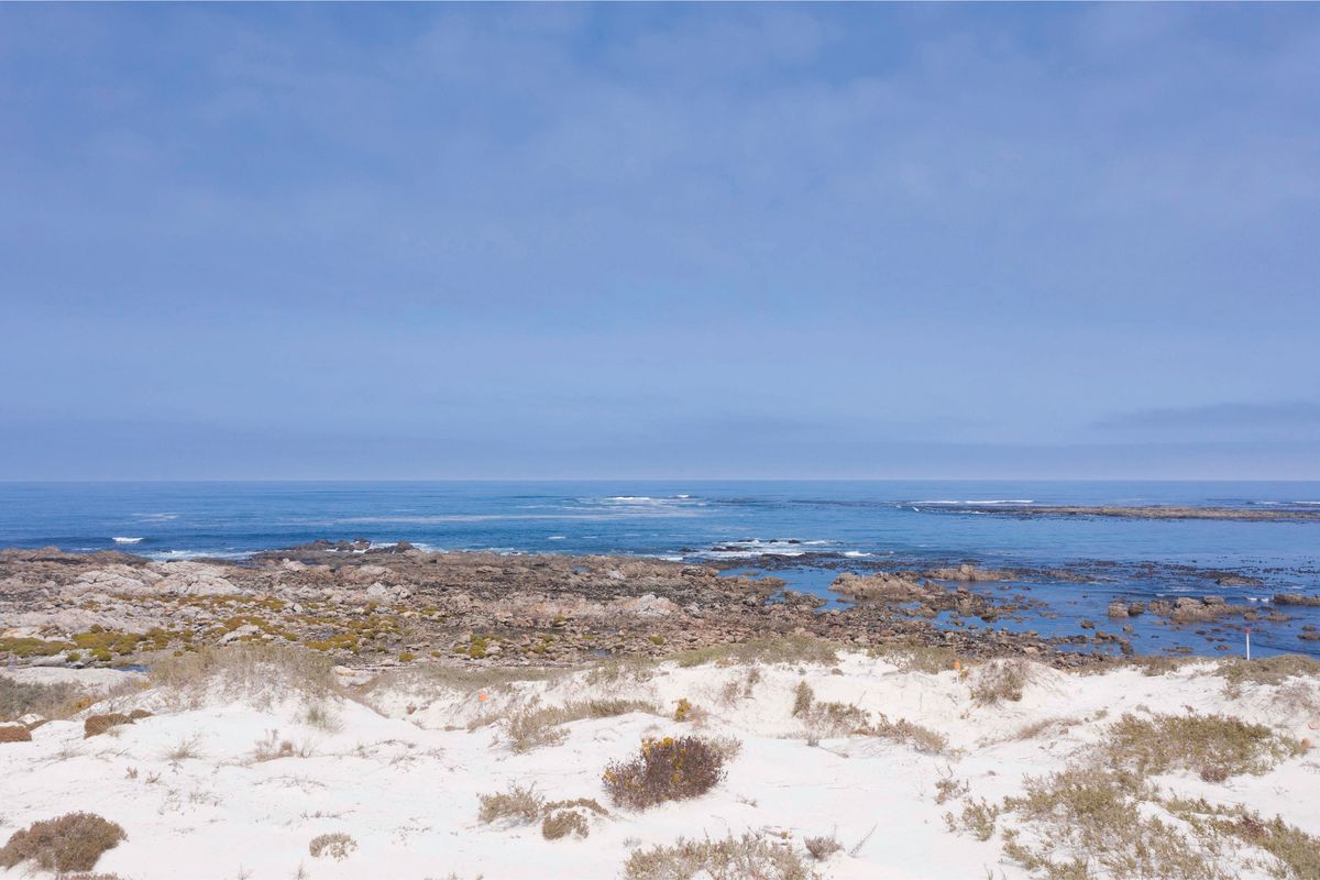 Seafront Serenity - Photo 5