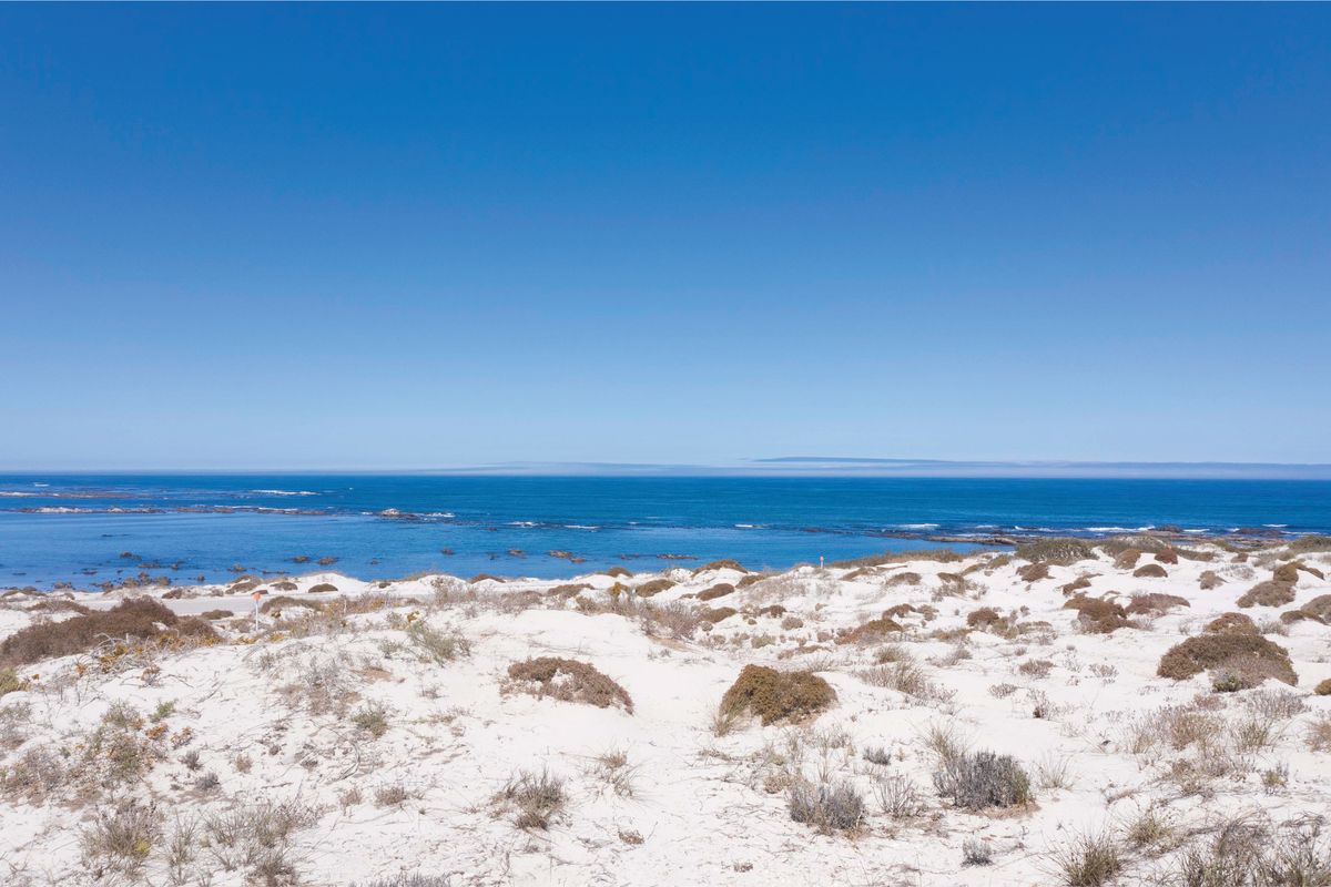 Visionary’s Elevated Vista - Photo 5