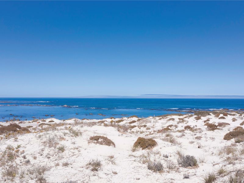 Visionary’s Elevated Vista - Photo 5